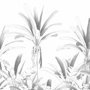 Alternative view of Fototapete - Musa